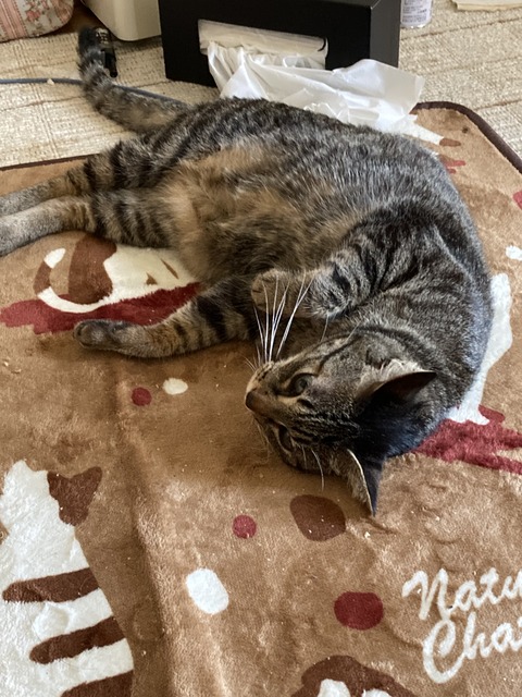 71CF14F7-96FF-47EB-9592-95D48A8E4F69