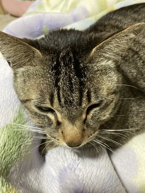 413E7029-11FE-46AB-B0B9-2558E9027307