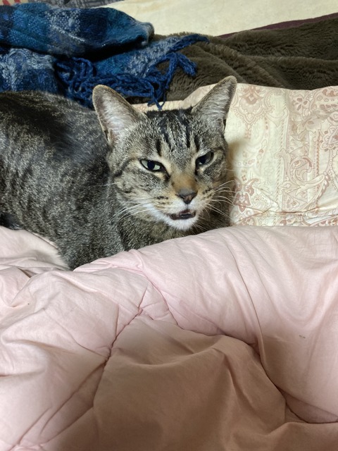 CCC816B1-0554-4037-86A0-45411FE82AD1