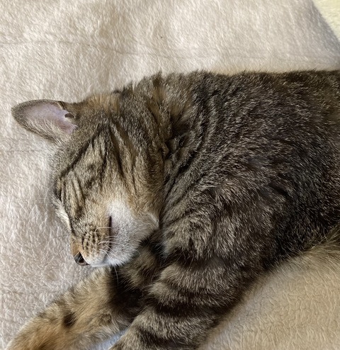 86896820-5A30-4704-A101-E7BBB1305FDD