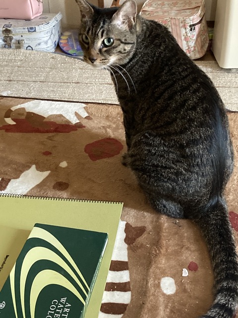 533C41C9-6318-4146-BC88-243AFDDDD3A2