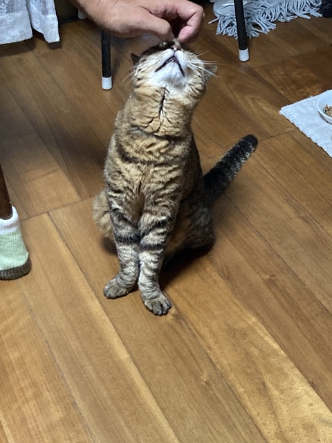 DA2C06B2-FAA3-495B-BA5D-E1F91609BB89