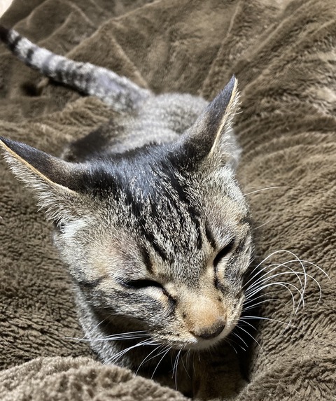 57451900-E0AC-4402-B752-FE8115447869