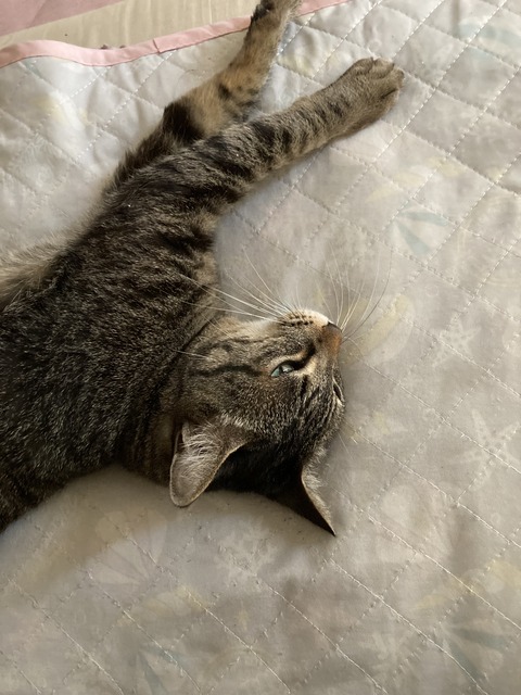 A481484D-97FF-4D5A-A420-273AF8ABAF78