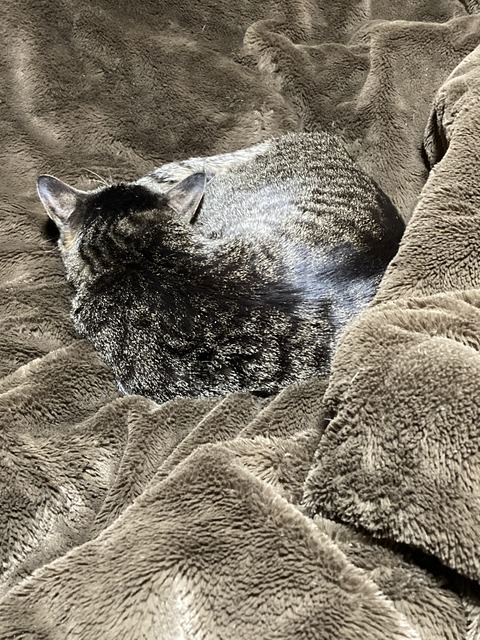 5DC40CDB-6407-4384-A652-282F66E112D1