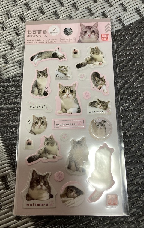 775E53AF-12A6-44E2-8A4F-260E461FB087