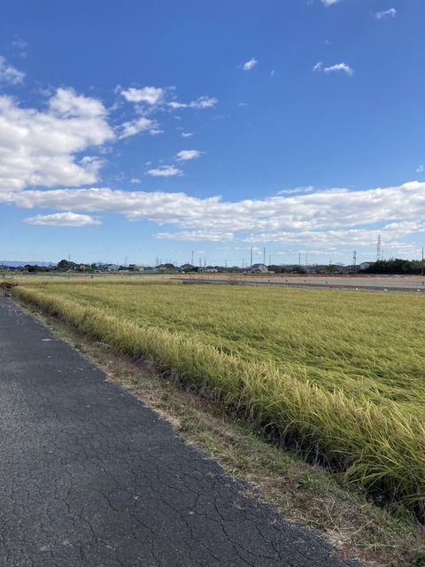 FCEEDAA5-CA5B-4D5D-ACBE-A25025124972