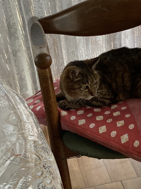 6F6DEF57-F05D-4ACD-803F-028F1133B545