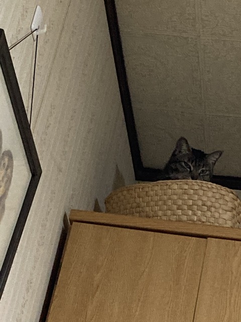 9658C320-95B9-4320-918A-0A1782BF87B9