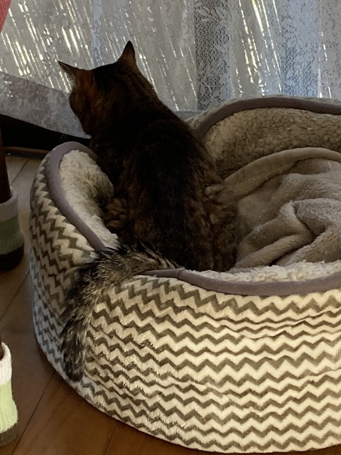 DAB99B85-1E04-453E-AC98-07438F398DD5