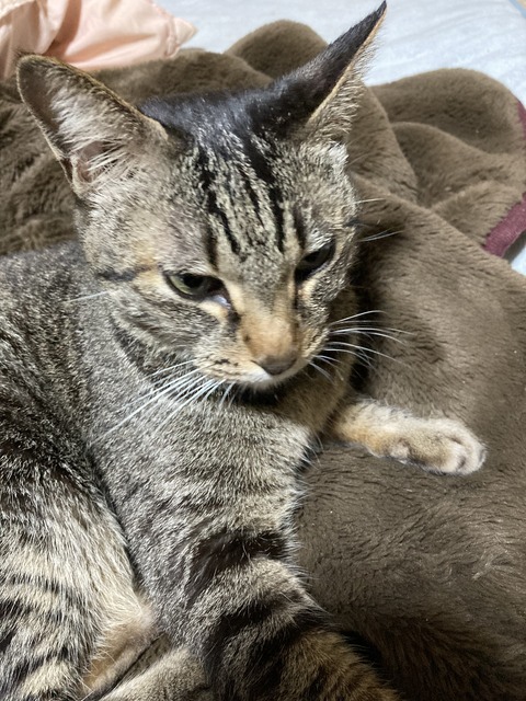 95891BE1-A587-4098-BFF5-1A49D0C8FB76