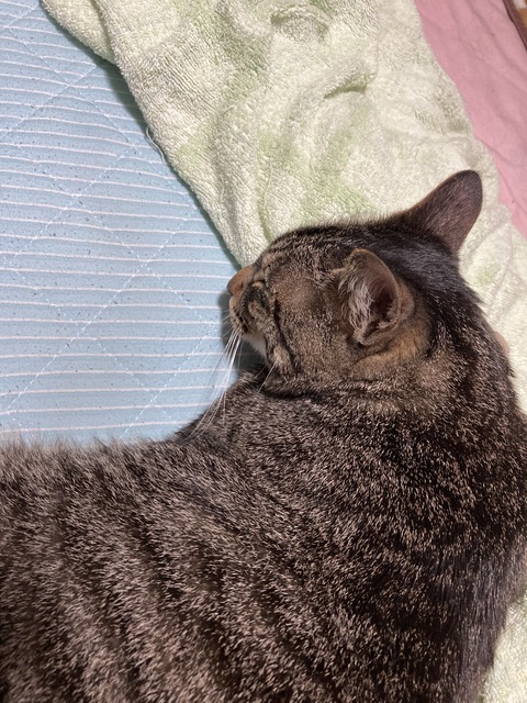 0AA859B6-08ED-4633-B8B9-CF4728F9445A