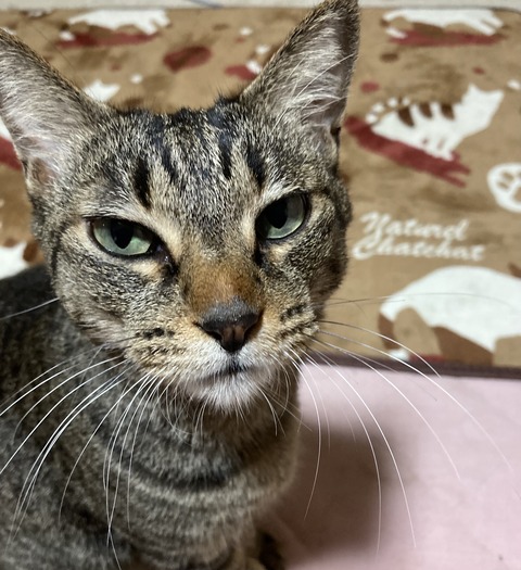 DE911195-0C4E-4B39-915A-593DC138EF86