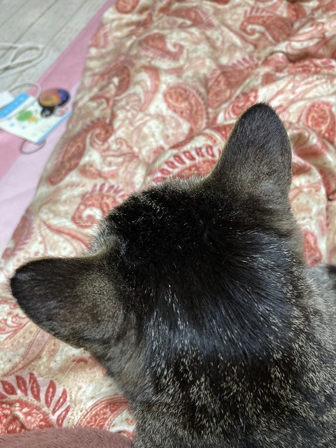 0286950F-3743-49EC-BC6F-576ABEC210C5