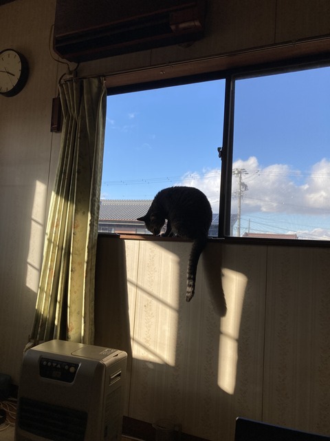 0CAEBA71-8F89-4C0F-BE47-78850DC3E9C4