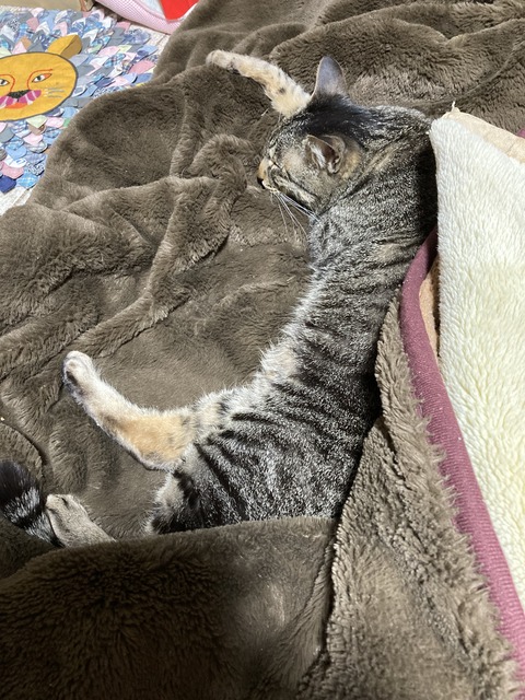 AD49316C-0129-4CD7-8679-5EC7D8B54422