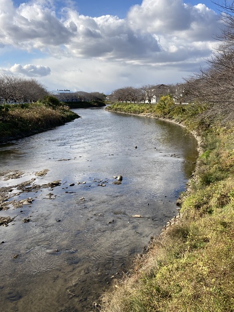 C38FDB2A-609D-48FB-8522-E42D0E1E49EA