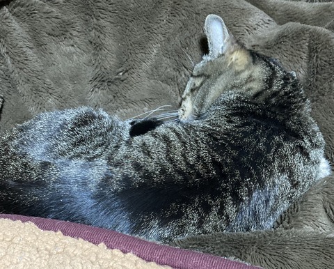 A663BF85-E6C4-4666-B37B-3F2233ACA1F7