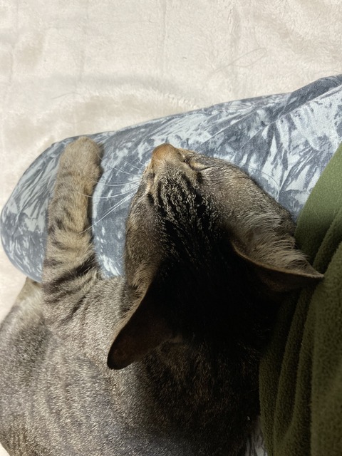 F5D52B42-FE68-456D-8A04-B76A91A61D5D