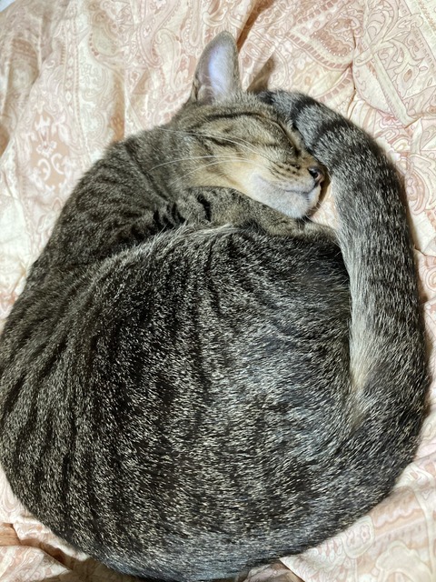 81CAF8D6-7903-4BE4-908C-1300FF4AE273