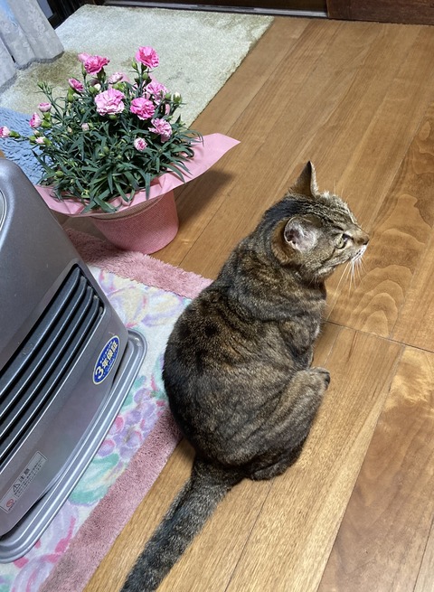 B0712410-9E7B-4150-AEE8-760EF99CC8E0