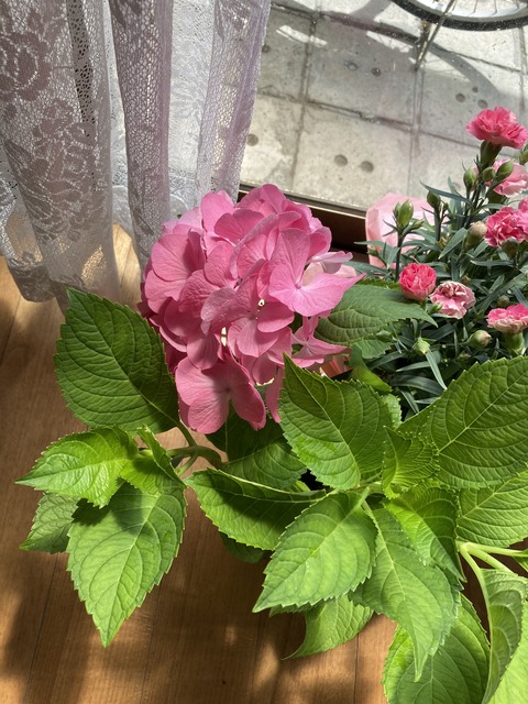 8E302940-C7A0-486C-BCCD-51E102B2DE31