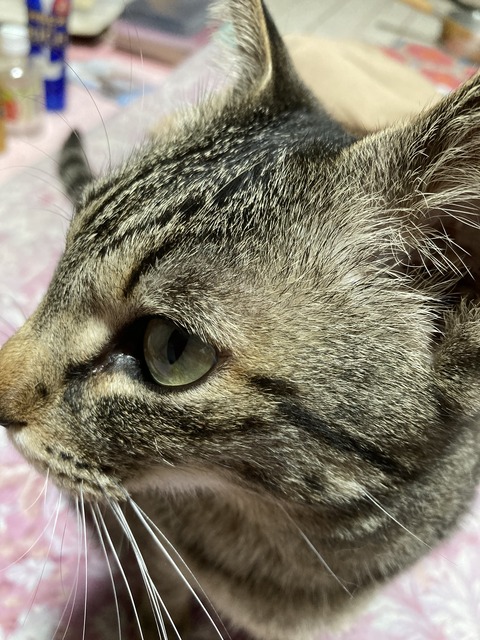 DB5192FC-F2C6-4EAB-ABFB-F86138CA6ABF