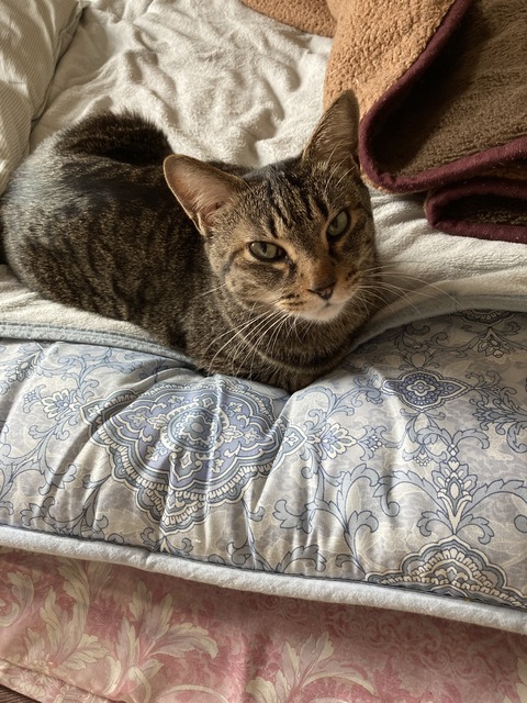 55AAF35E-F5B5-4A0D-8421-B0216E87359F