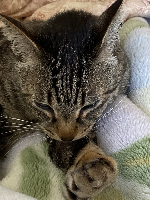 063E0DE8-C666-4E5E-A23E-53F5745CD116