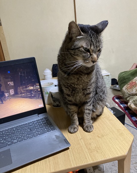 18A005D9-6CE4-4420-BEBD-CDA954CD020D