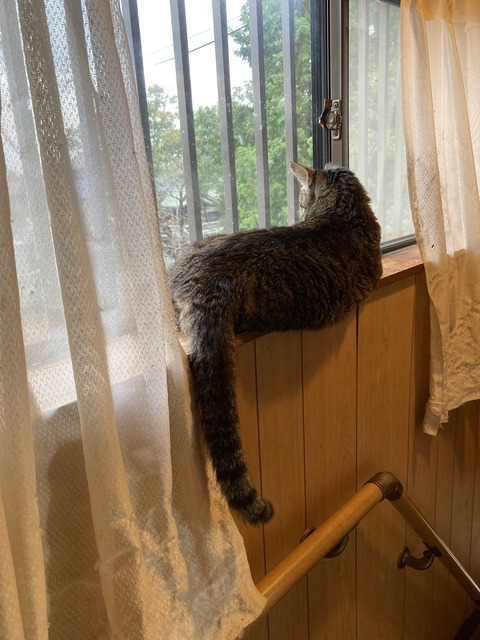 CF08BE9C-BAC4-4D47-A37C-6AAFA3F2E39B