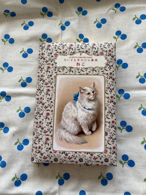 62C250A6-EA02-4BE0-AB00-4D532D10B9FD