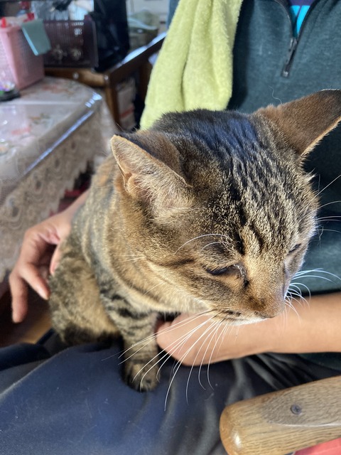 6D2F05BB-BCC4-4D2E-AE7F-734C7D47CD8C