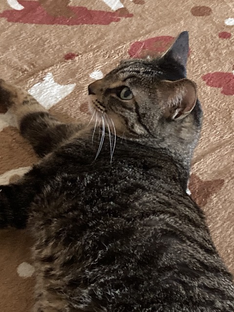 79213EEC-88C7-4191-98C9-D721E6B58869