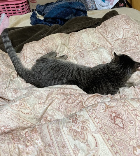 251C9EDE-34B4-4B58-8B50-C147F07539F8