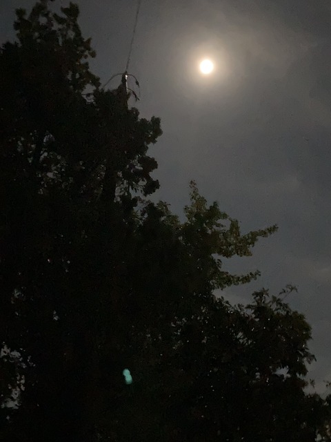 7CD73772-D8F2-42D9-8A6D-851109EBF3C4