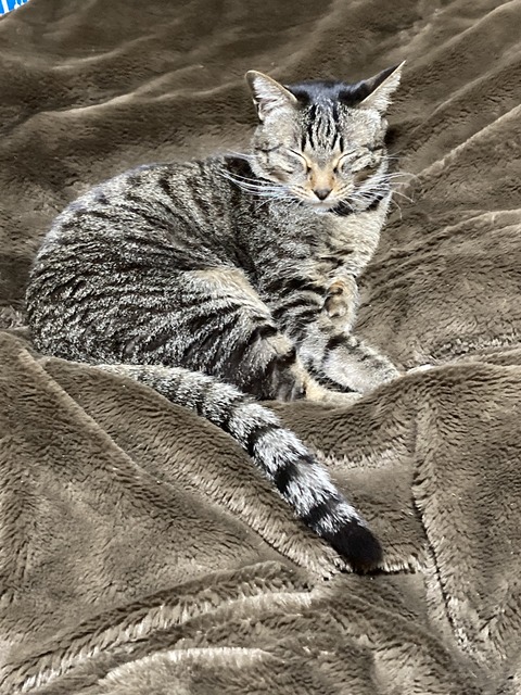 65B78788-66D7-41D2-BAB0-53E838352E15