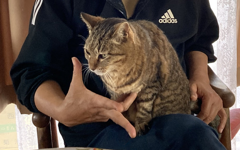 5FF96C15-84ED-479B-9C9C-85B61C80BA86