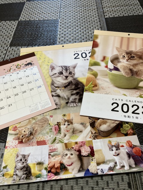 9DFB9E82-D17D-4279-BF55-9235A73941F7