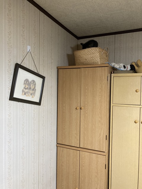 AD67AF90-99CB-4D9C-9FDC-546E98A198E3