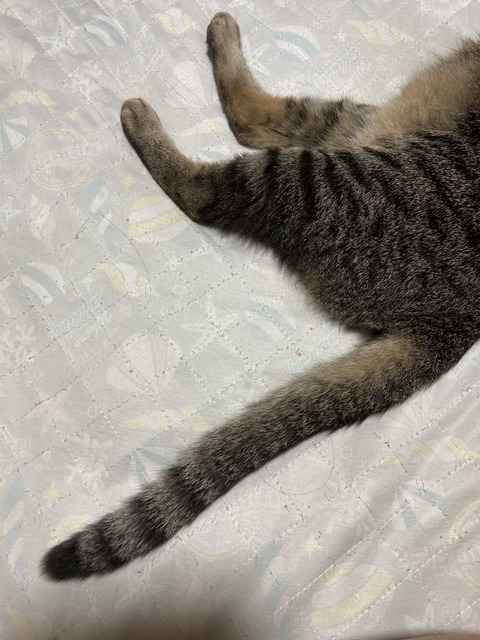 2C25B4D8-0EF0-4138-A8F0-D6264D66F032