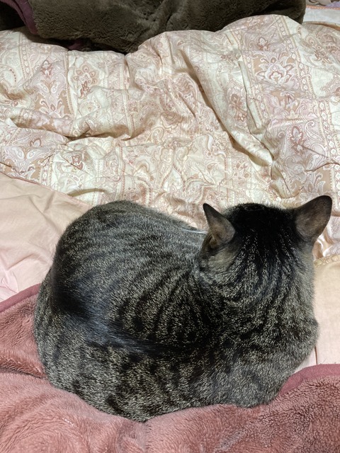 BF092462-1CE7-43D8-9A27-78AB950FA2B1