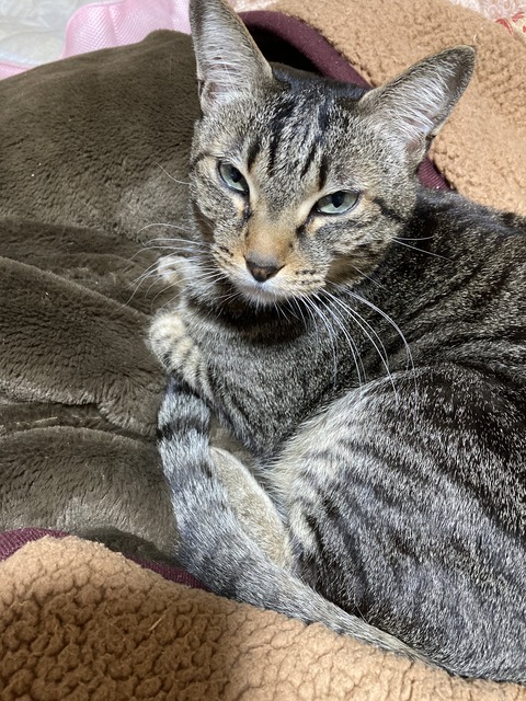 7BF5A285-A3C0-45D2-899D-88D8F5B954AB