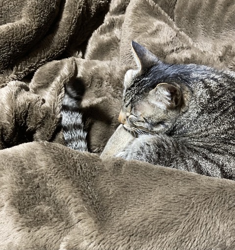 04142AC2-C134-4238-A18C-BCD01D18E33D