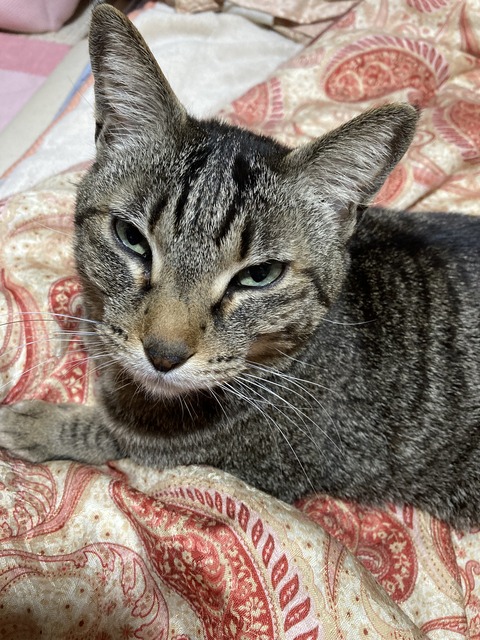 64A0E8D7-E7B8-4376-8533-3273BB8963E0