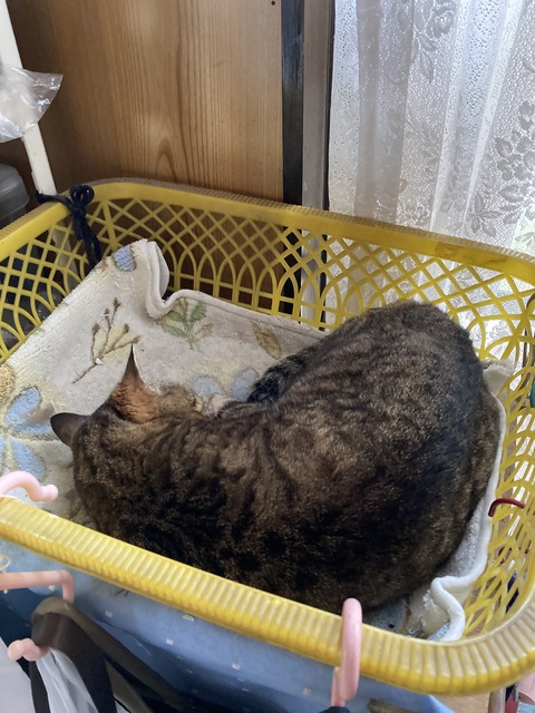 4F11E764-D9C2-4E90-AF59-BAD790B9232C