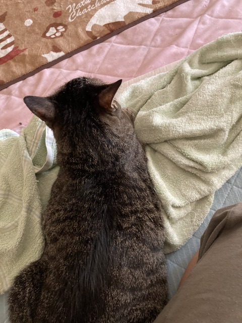 2223C42D-C87A-4BD3-AA49-78392DAA76FD