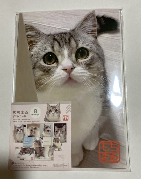 6895D68C-AC3F-47AB-A65A-A5F8F9726538