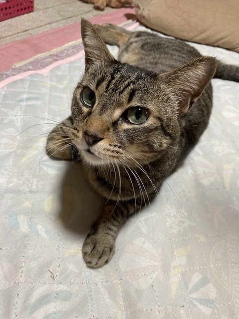 DEF9EC32-08E4-44F6-AEFD-6D50067AB928