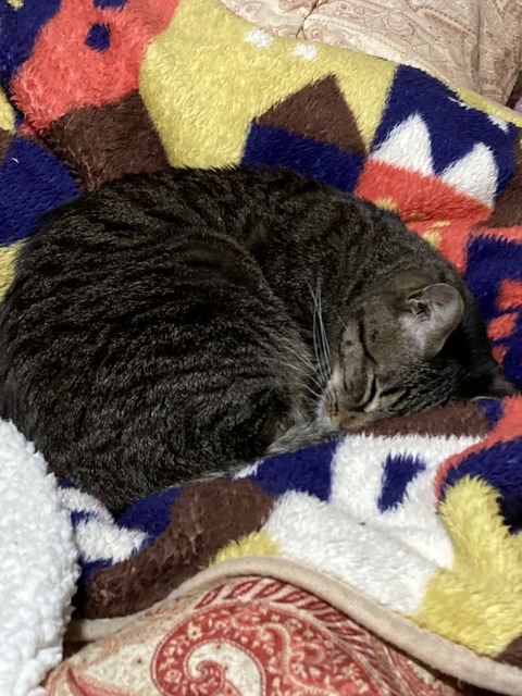 22AD0254-173F-49D0-8C91-1E13330537CB